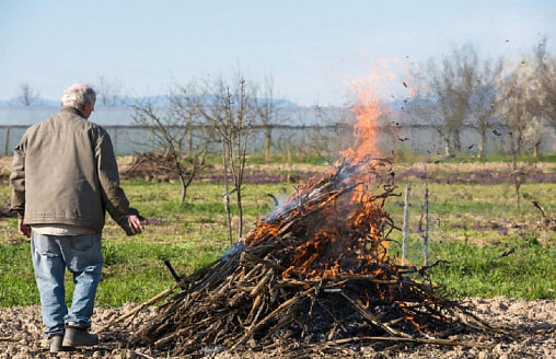 Наводим весенний порядок на даче: когда сжигать сухие ветки? И как…