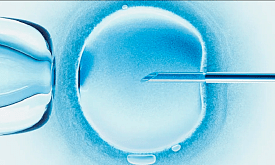 Родился первый в мире ребёнок, зачатый удаленно