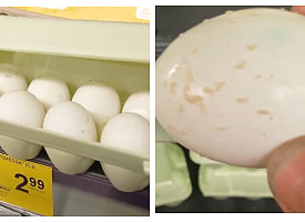 Яйца с опарышами? В Минске санслужба приостановила работу магазина известной сети