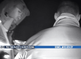 Из-за одной поездки в Гомеле ГАИ забрала у водителя машину, оштрафовала на 9000 рублей и лишила прав