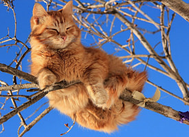 Перенос рабочего дня в Беларуси: кому не нужно выходить в субботу 25 апреля?