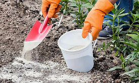 “Без химии и только натуральное”. Органическое земледелие: что реально работает, а что – маркетинг