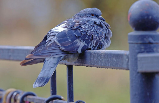 Куртки еще пригодятся – неделя с 30 марта по 5 апреля в Беларуси будет с сюрпризами