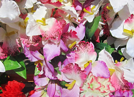 Пластиковые цветы в Беларуси могут запретить