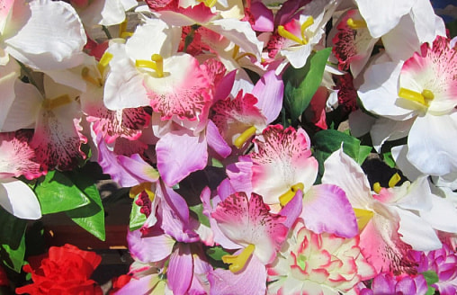 Пластиковые цветы в Беларуси могут запретить