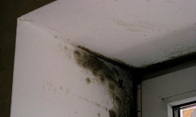 Появляются подтеки на стенах? Выясняем причины высокой влажности в дачном доме