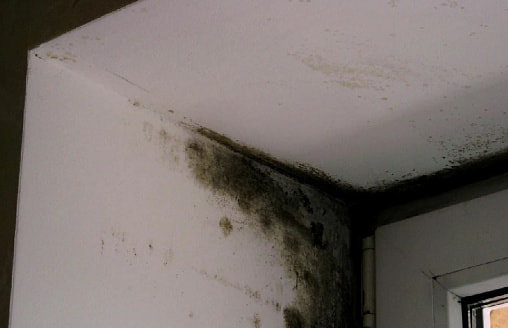 Появляются подтеки на стенах? Выясняем причины высокой влажности в дачном доме