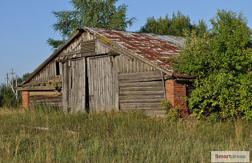 Дачников исключили, а участки остались: выяснили, что делать с заброшенной землей