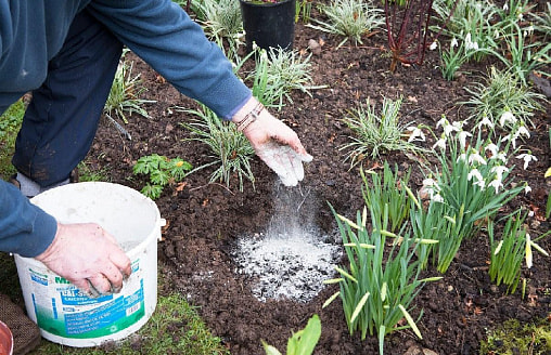 Навоз, зола или магазинные удобрения? Чем “кормить” землю после зимы