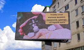 Участники “Поддержи своих” появились на билбордах Минска