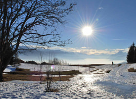 Как потеплеет в Беларуси после скандинавских морозов? Рябов спрогнозировал “передышку” и снег