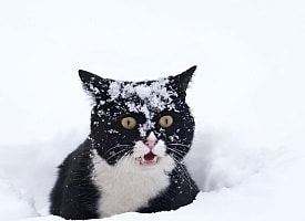 Синоптики предупредили белорусов о -19°С, новом циклоне и снегопадах. Когда накроет?