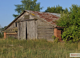 Дачников исключили, а участки остались: выяснили, что делать с заброшенной землей