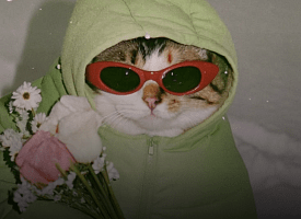 Куда сходить 7-8 марта? Джазовый концерт, кинопоказ на свежем воздухе, выставка лошадей