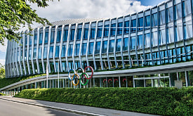 Спорт возвращается в страну: МОК снял запрет на проведение соревнований в Беларуси и вернул флаг на юношеском уровне