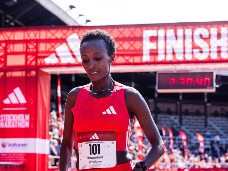 Шеварге Алене.jpg Шеварге Алене.jpg