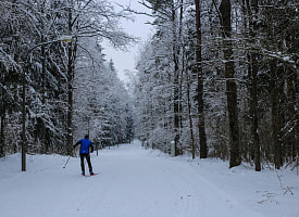Белорусская Швейцария под Новогрудком: сказочные зимние пейзажи деревни Селец