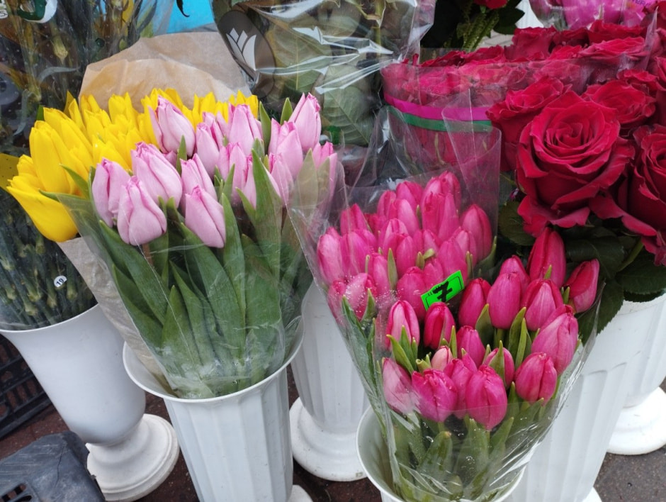 Тюльпаны на Комаровке 1.jpg