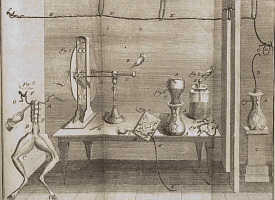 Батарейка из лягушки и первая в мире зарядка: История Алессандро Вольты, который дал нам ток