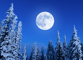 “Снежная”, “кровавая” и “голубая” Луна. Астрономы пообещали в 2026 году сразу 13 полнолуний