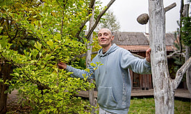 “Если произойдет экологическая катастрофа, эти деревья могут спасти мир”. Узнали, где в Беларуси растут тысячи гинкго билоба 