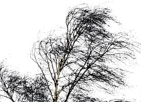 Под угрозой – одна область Беларуси. Синоптики объявили жёлтый уровень опасности на 16 марта