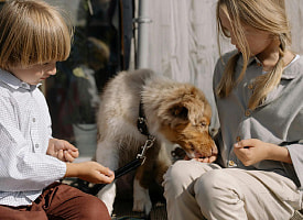 В белорусских школах для младших классов внедрили “Нескучные уроки о животных”