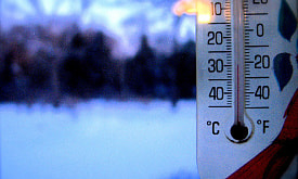 Мороз до -25°C. Чем это грозит огороду и что на самом деле нужно сделать?