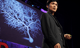 Цифровое бессмертие: можно ли “скопировать” человеческую личность?  