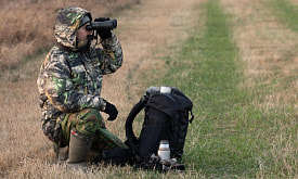 “Барсуков ради дневного фото выслеживал три года”. Узнали у фотографа дикой природы о самых неуловимых героях 