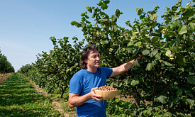 “Проект обошелся в 1,5 миллиона евро”. Белорус создал самую большую плантацию фундука в стране – и стал счастливым