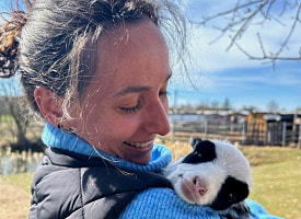 На Гродненщине родилась овечка-панда: вот как выглядит необычная малышка 