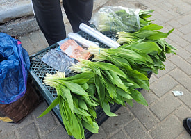 У Комаровки начали продавать черемшу. Сколько стоит?