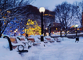 Ждать ли снег и заморозки на Новый год в Беларуси? Узнали прогнозы