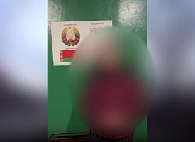 До 7 лет тюрьмы. Женщина на электровелосипеде попала в изолятор после встречи с ГАИ в Малорите