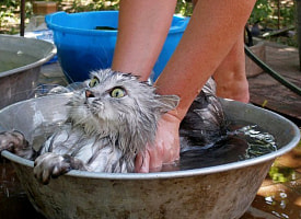 Новые правила в ЖКХ, “двери самообслуживания” в транспорте: что еще изменится в мае
