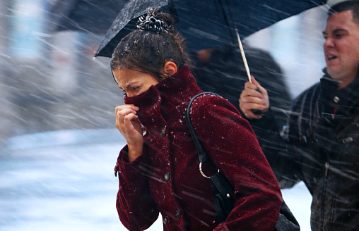 Беларусь накроет “арктический ящик Пандоры” – когда ждать снег, порывистый ветер и грозы