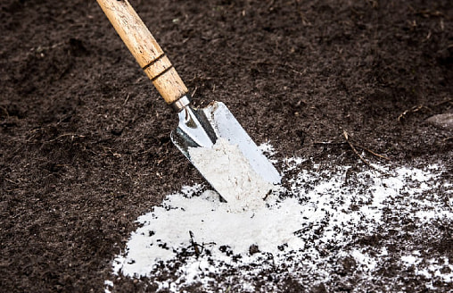 Не только известь: 5 способов раскислить почву, о которых дачники часто забывают