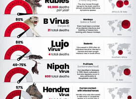 Эксперты опубликовали рейтинг 10 самых смертоносных вирусов на Земле