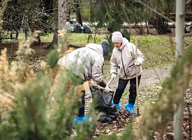 Первый в 2026 году. В одном из городов Беларуси объявили месячник по уборке дворов и лесов