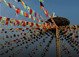 Чем заняться в выходные 21-22 марта? Сходить на МК по фотографии, послушать Linkin Park, побывать на конных соревнованиях