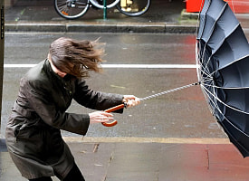 Циклон ударит по 5 областям Беларуси – синоптики объявили 8-балльную опасность