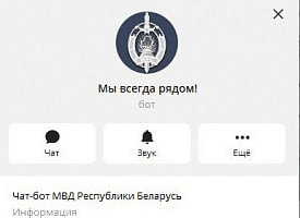На что чаще всего жалуются белорусы в чат-бот милиции – рассказали в МВД