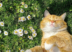 Куда сходить в выходной 26 апреля? Послушать орган, квиз в темноте, лекция для садоводов