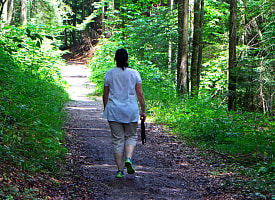 Штраф до 1260 рублей. Минлесхоз запретил белорусам появляться в лесах этих 5 районов