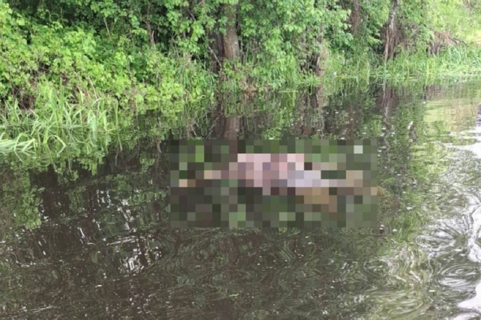 Тело в реке.jpg