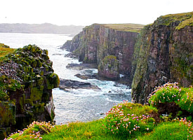 Работа мечты? В Шотландии ищут смотрителя на необитаемый остров с птицами и китами