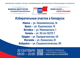 Россияне смогут проголосовать на выборах в Госдуму в семи городах Беларуси