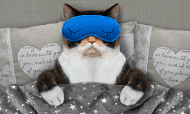 Рабочий детокс на 36 часов: как надо отдыхать, чтобы эффективно работать? 