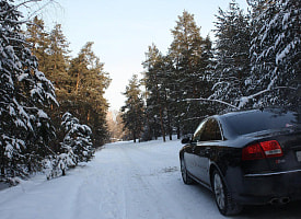 ГАИ предупредила белорусов о “контрастно черных” авто на дорогах – в чем опасность?
